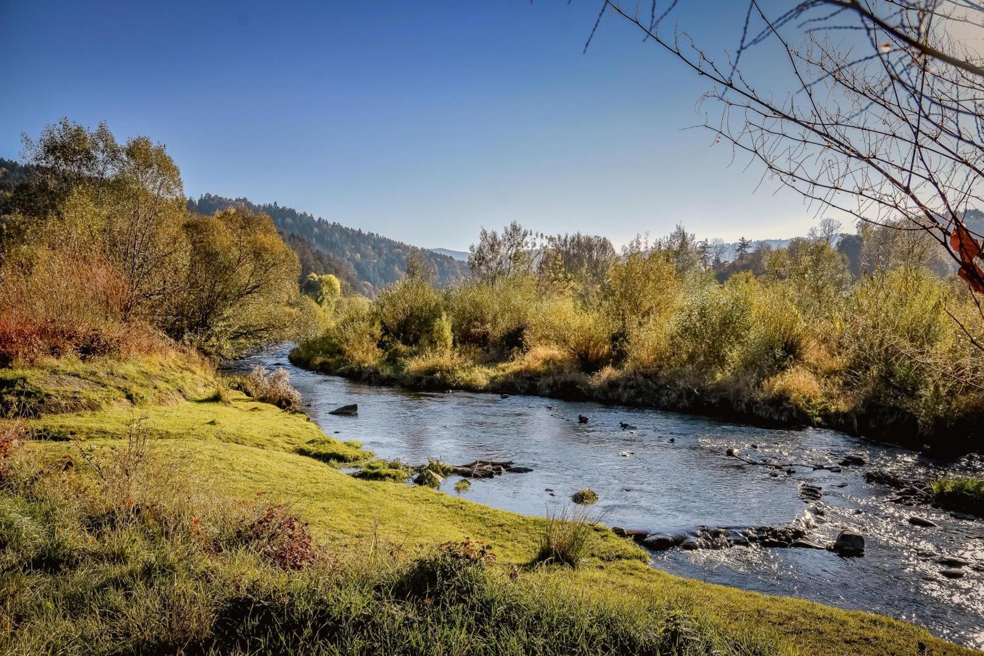 Dulakowka - Domek Na Kazda Pogode Piwniczna-Zdroj Dış mekan fotoğraf