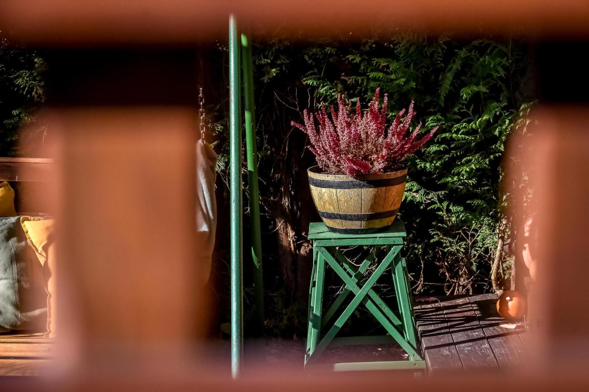 Dulakowka - Domek Na Kazda Pogode Piwniczna-Zdroj Dış mekan fotoğraf